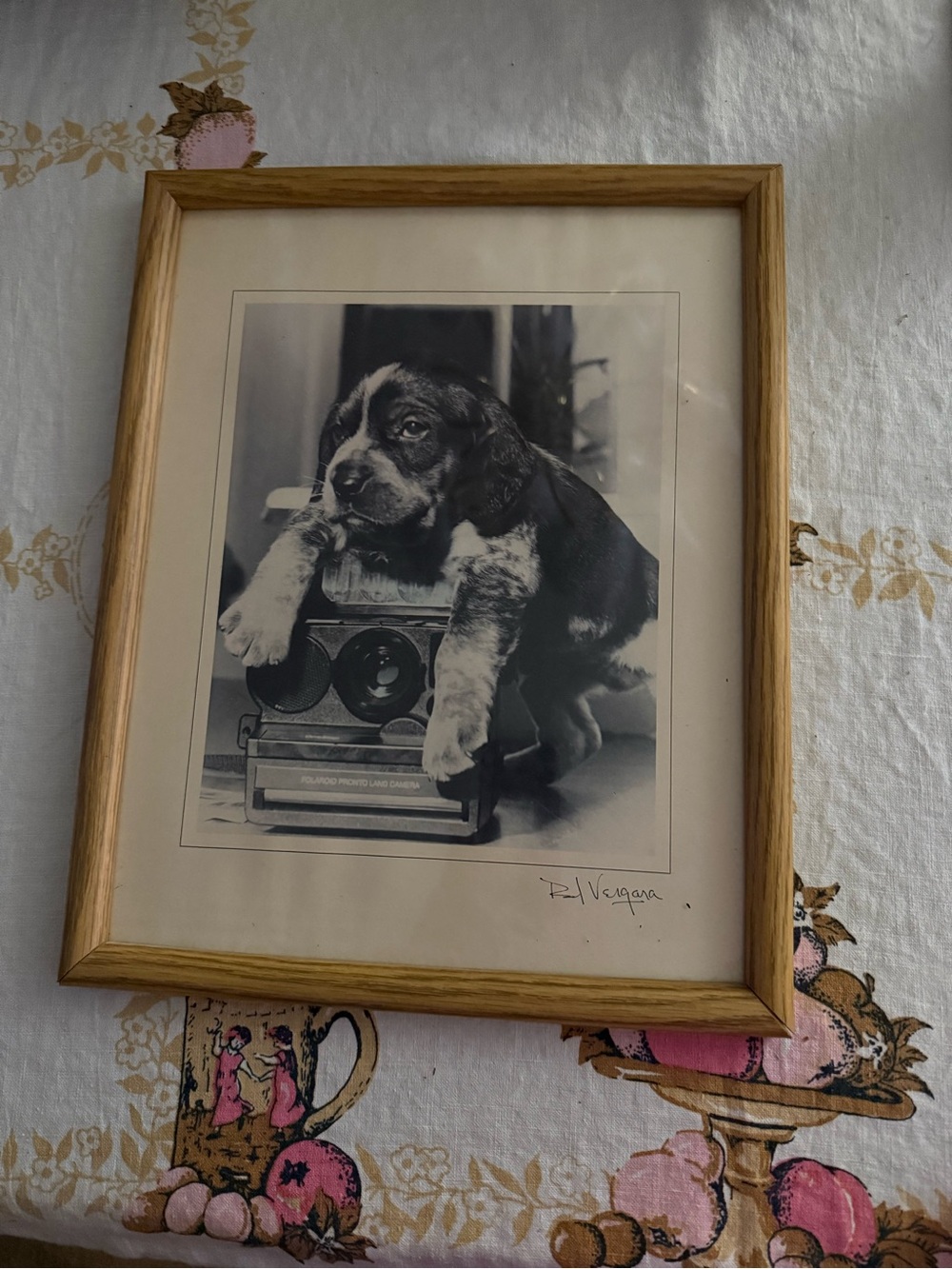 VTG Framed Photo
